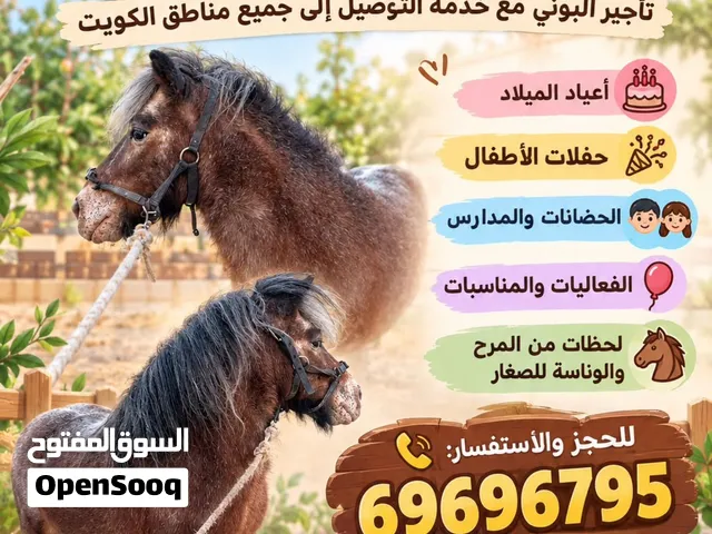 اجار بوني جميع مناسبات الأطفال