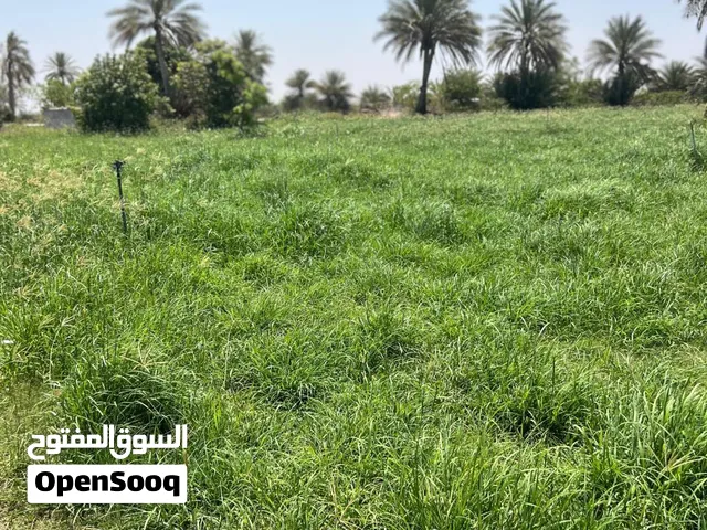 ارض زراعيه + بيت العمر جديد السعر مليونين ونص قابل للتفاوض للجاد بحدود المعقول