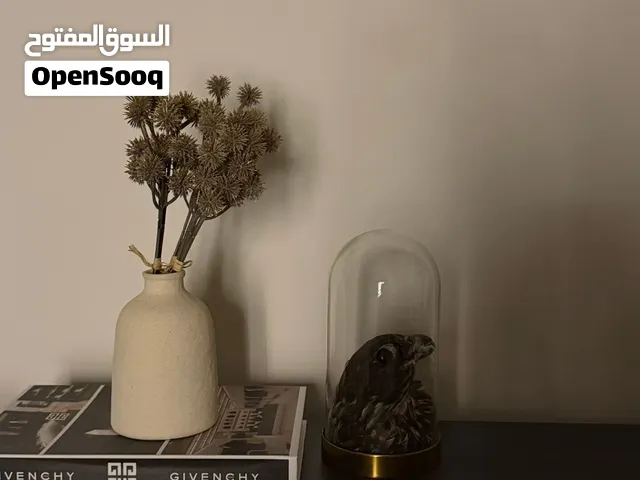 طير محنط .