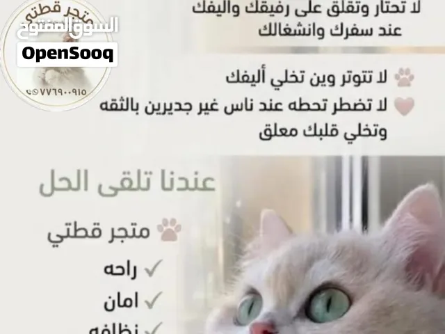 خدمااات متجر قطتي  شرفونا واحجزوا رقم المحل  وخبرونا وتابعوا الحالات