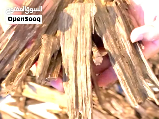 زورا سيوفي سوبر