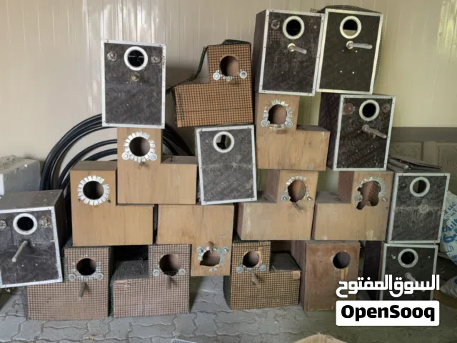 صندوق تفريخ