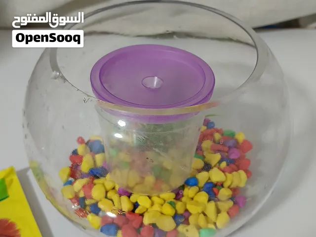 حوض سمك مع اكسسوارات واكل