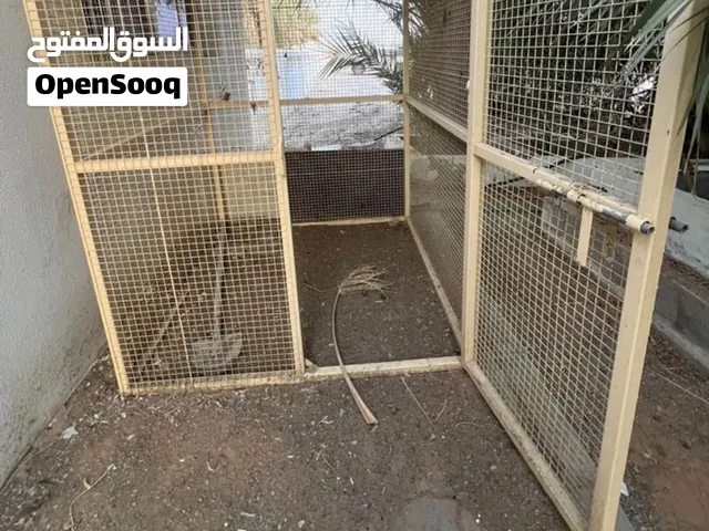 قفص لأي نوع طيور القفص كبير