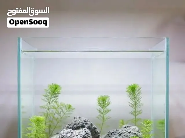 حوض أسماك نانو مميز  (30×30×30 سم) - تصميم طبيعي