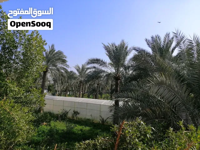 شقة للإيجار في ابو طيارة