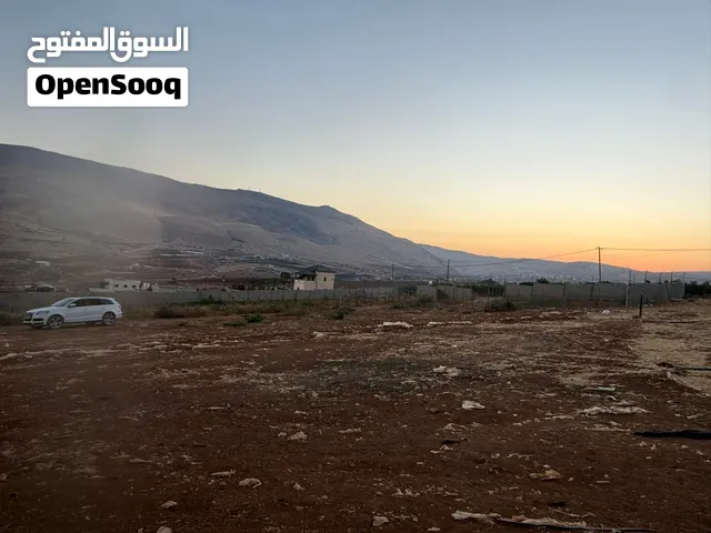 Residential Land for Sale in Nablus Al Nassariya