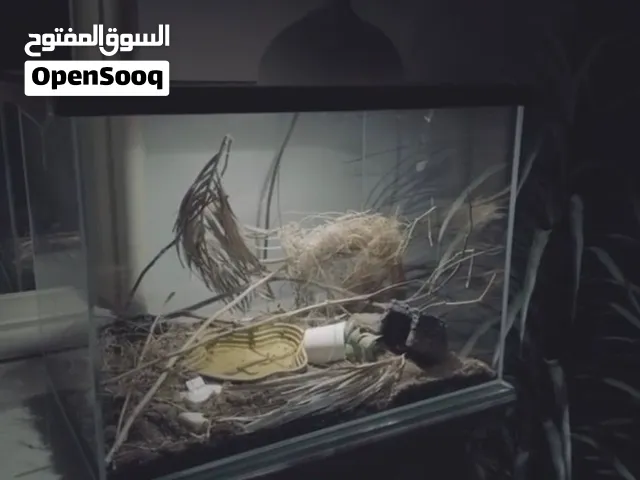 حوض حيوانات تفصال - exotic pet tank