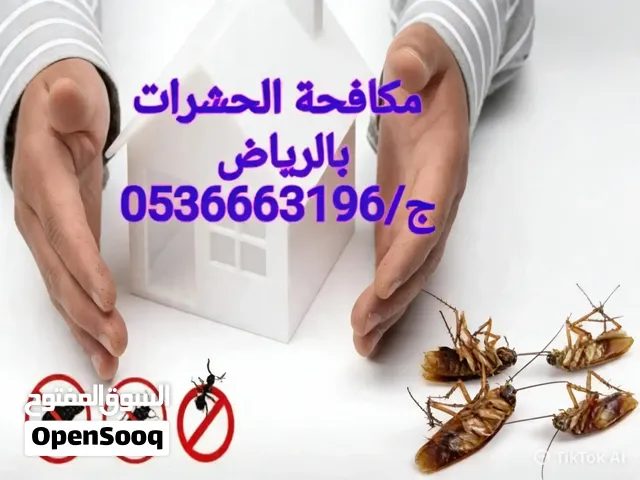شركة مكافحة الحشرات بالرياض