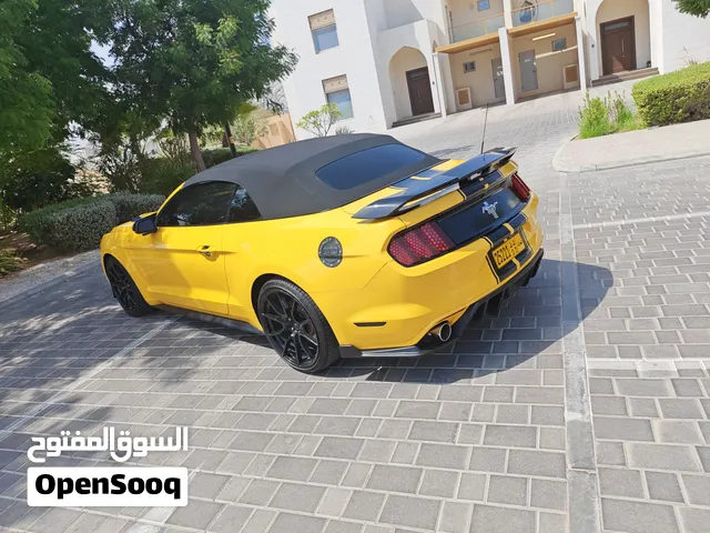 Used Ford Mustang in Muscat