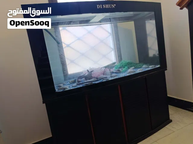 حوض سمك جديد