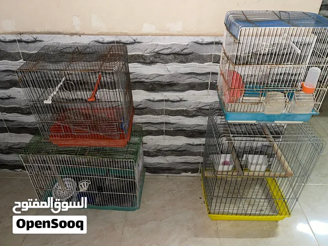 قفاص للبيع