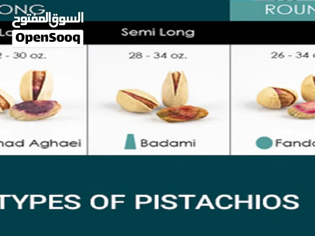 wholesale Pistachios at the Best Quality and Price From Iran per 100 Kgr