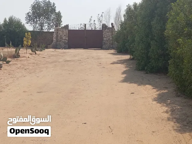 مزرعه للبيع
