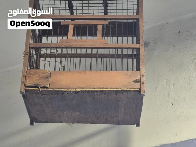 اقفاص حسون قديمة جدااان