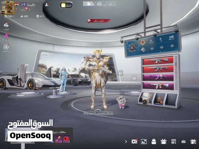 Pubg Accounts and Characters for Sale in Basra