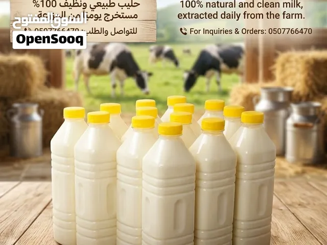 حليب أبقار طازج (فرش) للبيع في الشارقة! حليب طبيعي ونظيف 100% مستخرج يومياً من المزرعة. للتواصل و