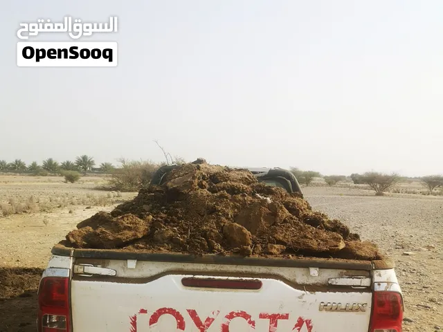 سماد أغنام للبيع عمره 4سنوات تقريبا تابع الوصف