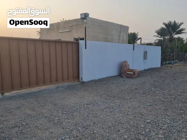 ارض زراعية فضاء للايجار مساحتها 1000م