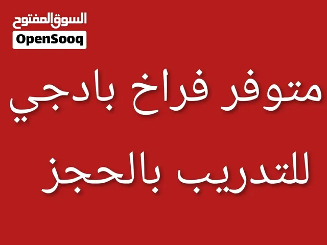 فروخ بادجي مدربة للبيع