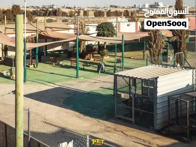 التـــدريب هــو ســر العــلاقة المـــثالية بينك وبين كلبك.   فندق الكلاب  أجنحة مريحة وآمنة