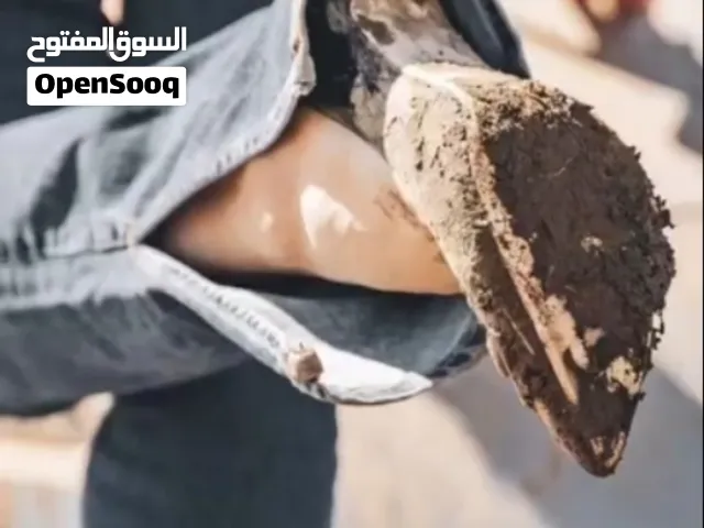 خدمة تنظيف الاحذية الحريمي بكل انواعها  + توصيل مجاني   Cleaning dirty shoes service