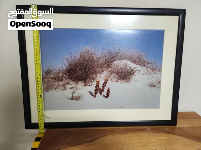 Exclusive Fine Art Photography Series by Sulaiman Al-Awadi (2001) – Rare Artist’s Proofs (A/P)