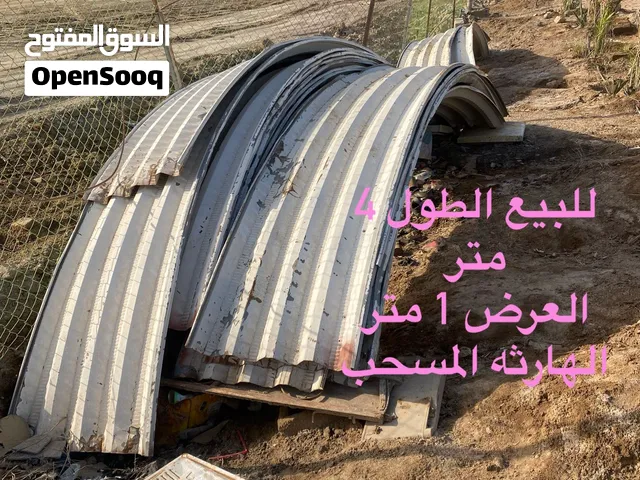 جينكو مقوس للبيع