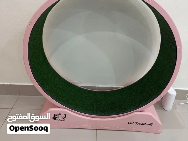 عجله للقطط