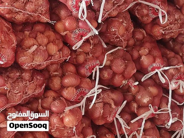 بصل احمر بلدي