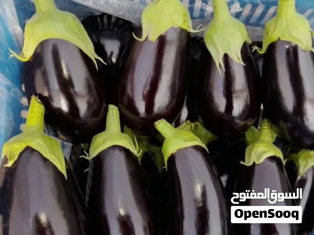 تصدير جميع أنواع الفواكه والخضروات من إيران بأفضل جودة وبأفضل الأسعار.
