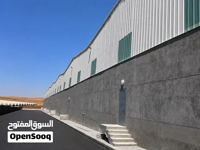 مستودعات هنجر للايجار 1000 م شارع ال 100 الذهيبه