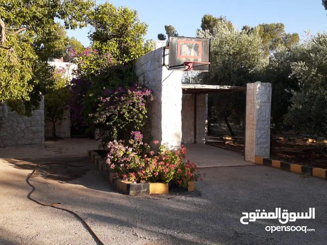 مزرعة مميزة مساحتها 11.5 دونم في جرش للبيع