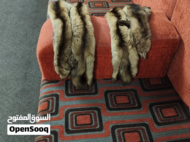جلد طبيعي لحيوان(السمور)