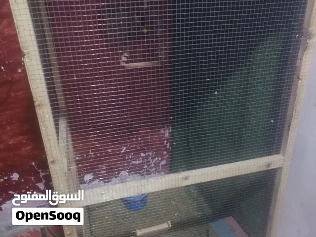 سلام عليكم قصف  طول 150 وعرض 70 ونزال 75 مع ثيل اصطناعي وعلبة اكل طيور ومرجوحة واثنين بيوت للعصافير