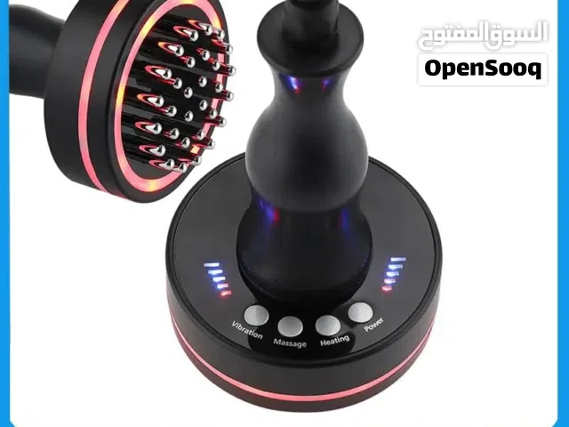 Electric Meridian Brush / handheld electronic massager