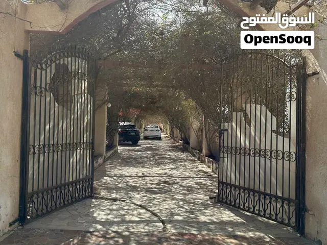 للبيع مزرعه 41فدان بطريق مصر الاسكندريه الصحراوي مدخل الكيلو 71 مزروعه بالكامل وبها فيلا حظيرة مواشي