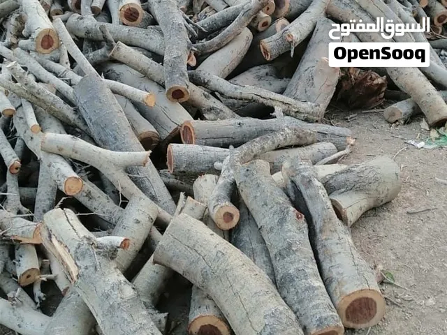 يتوفر حطب سمر للبيع