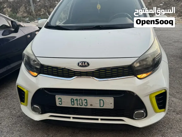 بيكانتو فل الفل ولا غرام بويا ترخيص وتأمين شامل