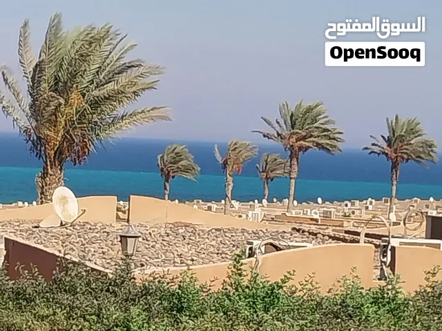 اكتب اسم الاعلان ازاي
