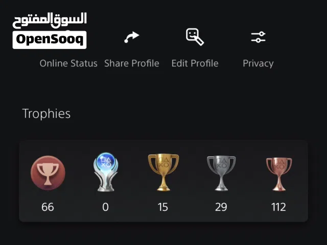 PS+ Accounts and Characters for Sale in Amman