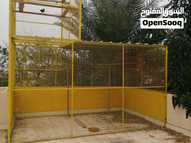 قفص للبيع (جال للحمام الباكستاني ) او غيرها من الطيور