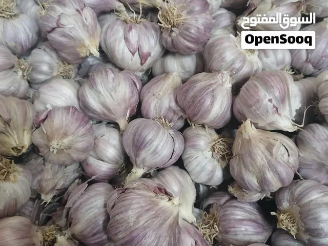 الثوم جبل الأخضر درجة الأولى