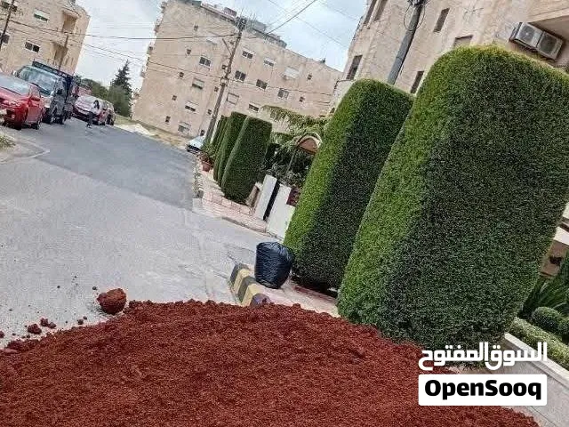 زراعة قلب تنسيق جولد ستار لتزيين شجر قص تسميد رش مبيدات