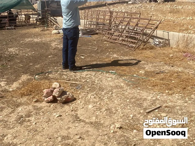 قطعة ارض للبيع او للبدل ببيت مستقل مع دفع الفروقات