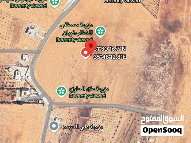 ارض مفروزة للبيع ذيبان سعر طري 10 دونمات واصل جميع الخدمات ، البيع مستعجل