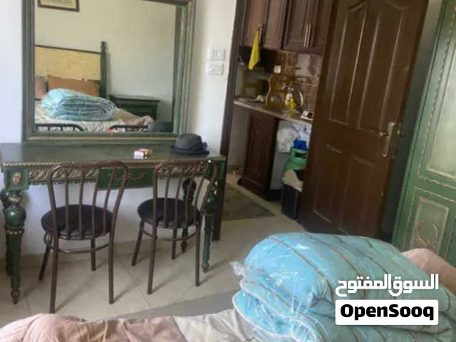 40 m2 1 Bedroom Apartments for Rent in Amman Arjan