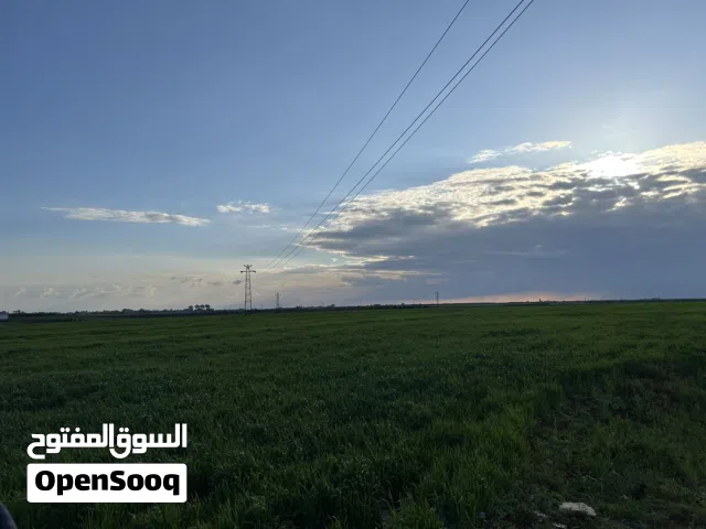 دروس خصوصي لجميع المواد من الصف الأول وحتى السادس بإسلوب بسيط ومميز  وبأسعار جيدة منطقة ابو نصير