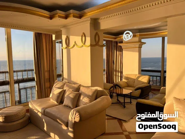 شقه للايجار علي البحر مباشر ميامي