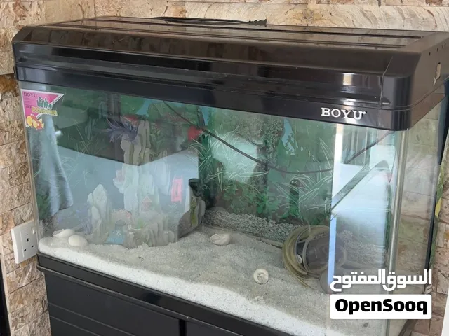 حوض سمك للبيع